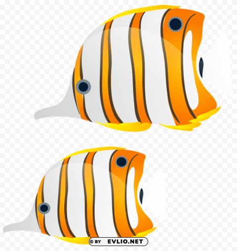 fishes Isolated Design Element in HighQuality Transparent PNG