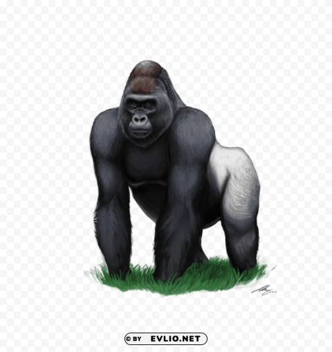 gorilla Isolated Artwork on Transparent Background
