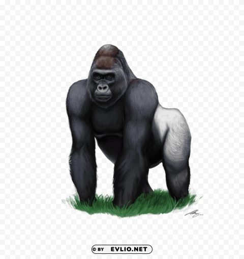 Gorilla Isolated Artwork On Transparent Background