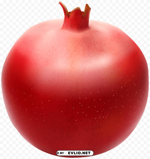 pomegranate PNG with clear background extensive compilation