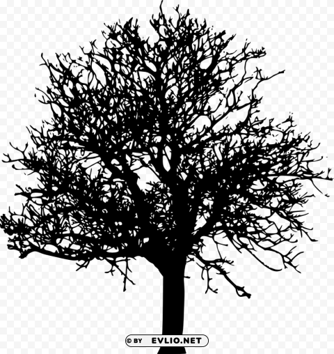 tree ilhouette Isolated Item on HighResolution Transparent PNG