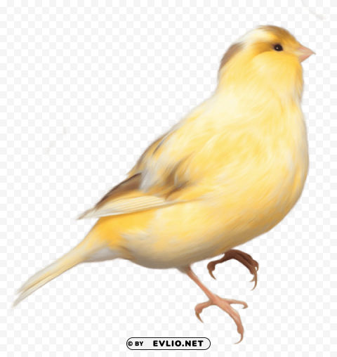 yellow birdpicture High-resolution transparent PNG images png images background - Image ID 759863d2