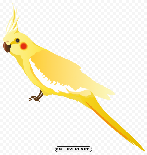 yellow parrot Isolated PNG on Transparent Background