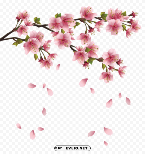 beautiful pink spring branch with falling petals PNG Graphic with Clear Background Isolation