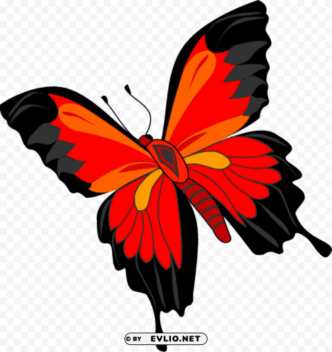 butterfly Isolated Element with Clear PNG Background