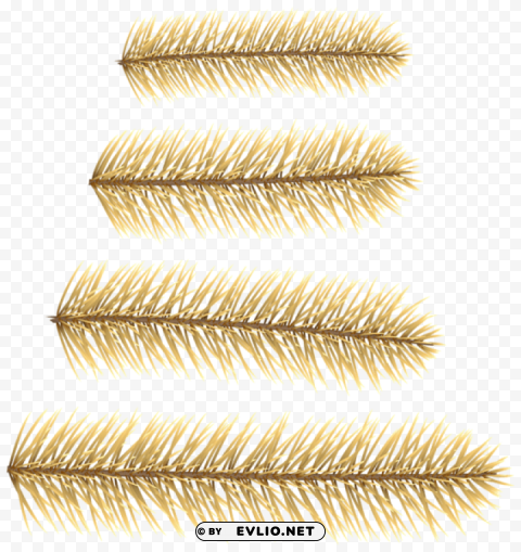gold pine branches decoration Isolated Artwork on Transparent Background PNG