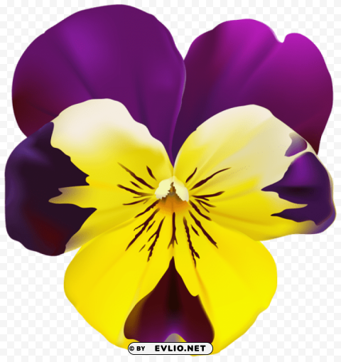 violet flower PNG images with no fees
