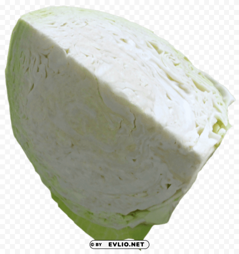 cabbage PNG with no cost