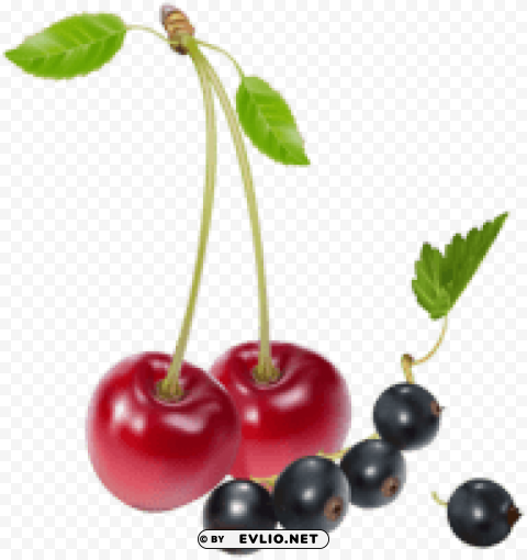 cherries and blueberries Isolated Illustration in HighQuality Transparent PNG