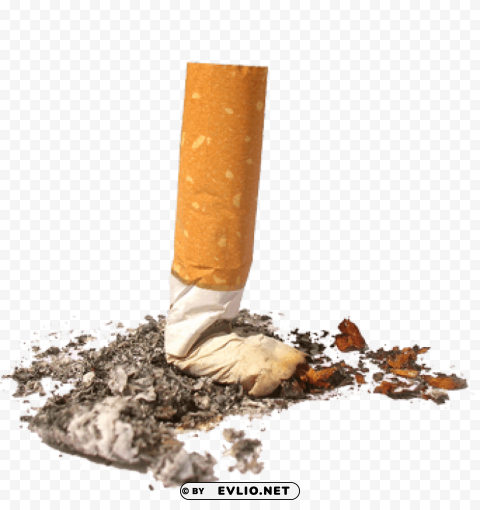 Damaged Tobacco Stick Clear - Image ID 0bab57a8 Transparent Background PNG Isolated Art