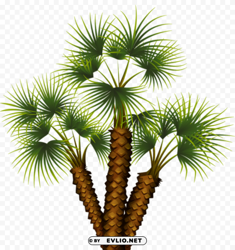exotic palm tree Isolated Icon on Transparent PNG