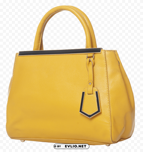 handbag Isolated Illustration on Transparent PNG png - Free PNG Images ID 799003e8