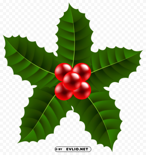 large christmas holly Transparent PNG artworks for creativity