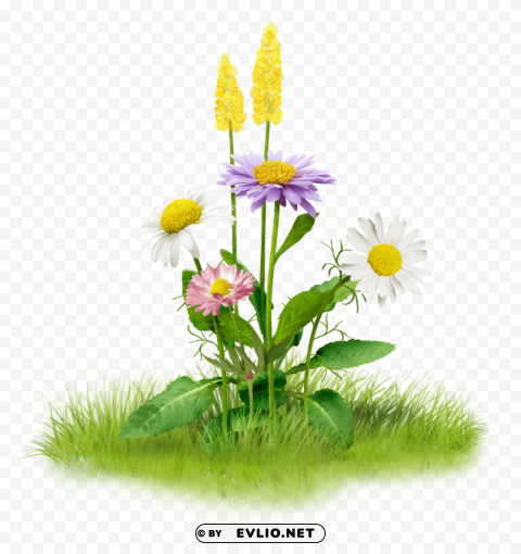 PNG image of nature PNG images for banners with a clear background - Image ID 6960438b