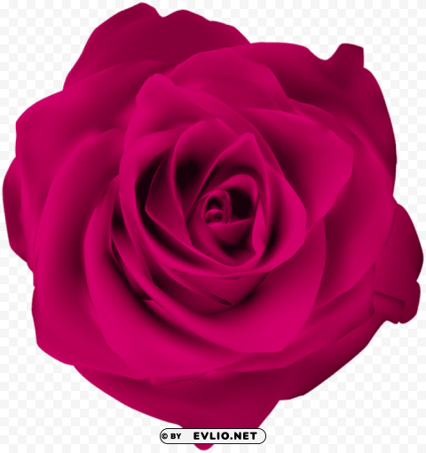 PNG image of rose pink Transparent image with a clear background - Image ID ff04466e