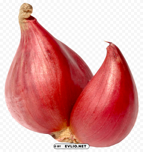 shallot onion Isolated Character in Clear Transparent PNG
