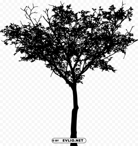 Tree Silhouette Transparent Cutout PNG Isolated Element