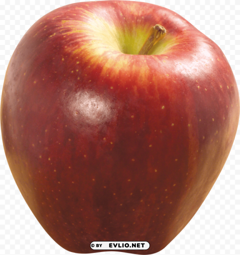 Apple PNG Graphic Isolated With Transparency