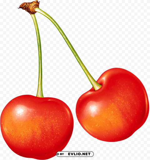 cherrys Clear Background Isolated PNG Icon