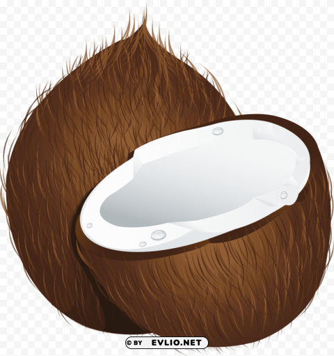 Coconuts PNG Photo