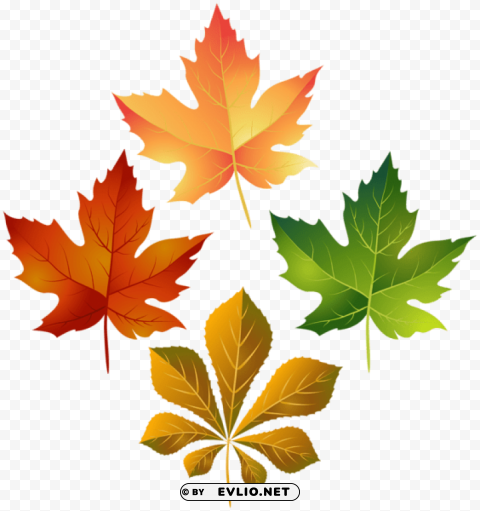 colorful autumn leaves PNG images free