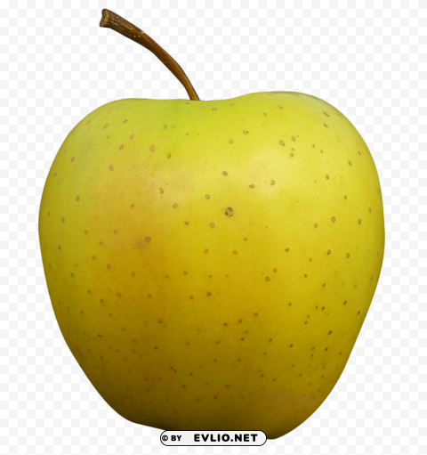 Golden Apple PNG for online use