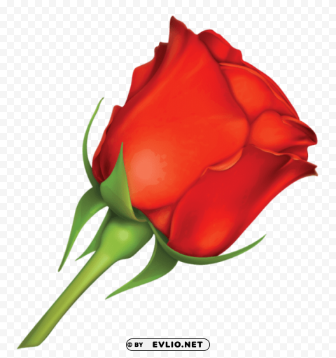 PNG image of large red rose PNG design elements with a clear background - Image ID 2d56be27