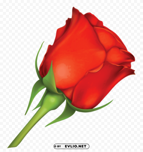 Large Red Rose PNG Design Elements