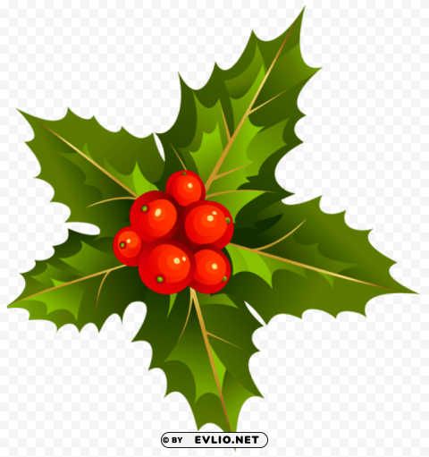  christmas mistletoe Transparent PNG Artwork with Isolated Subject