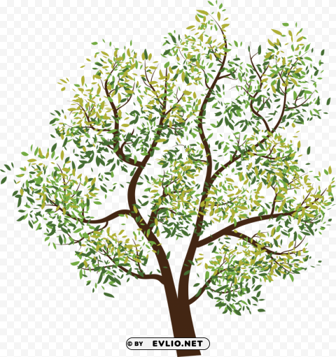 tree PNG images with clear backgrounds
