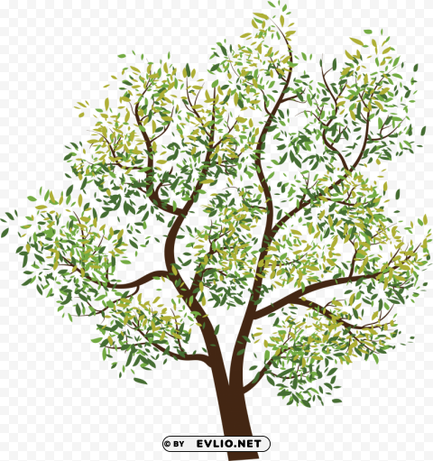 tree PNG clear images