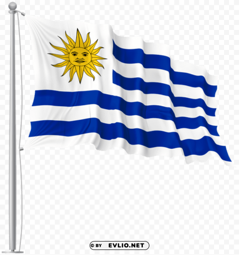 uruguay waving flag Transparent art PNG