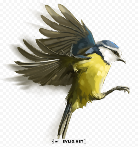birds hd picsart PNG images with cutout