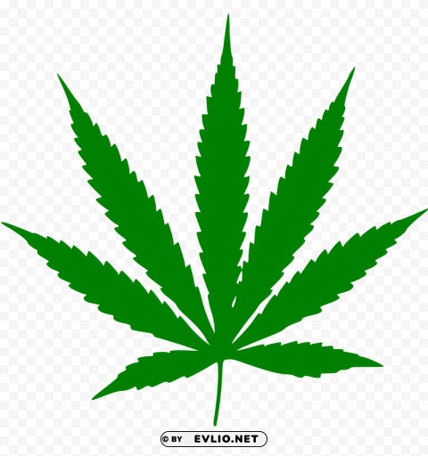 cannabis PNG with transparent backdrop