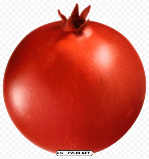 Pomegranate Transparent PNG With Isolated Transparency