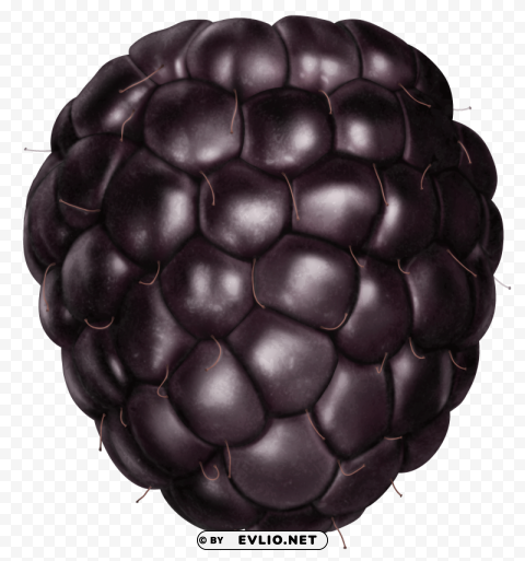 blackberry PNG transparent images mega collection PNG images with transparent backgrounds - Image ID 82bf4252