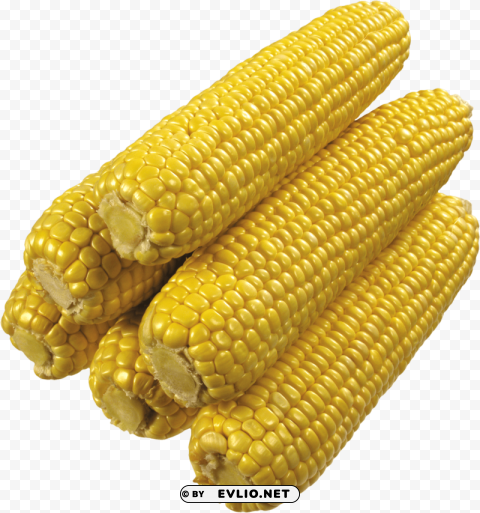 corn PNG images with alpha transparency diverse set