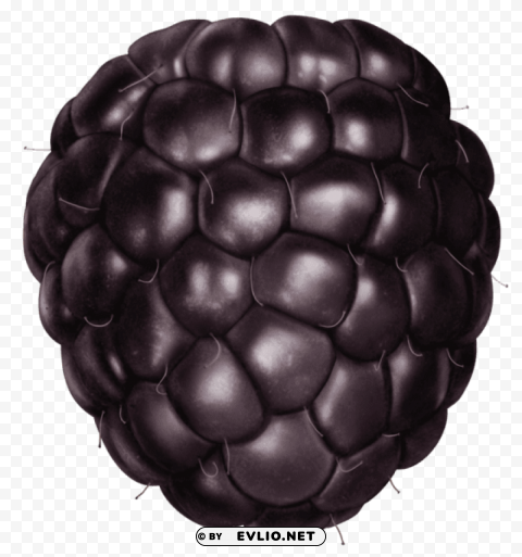 transparent blackberrypicture PNG images with clear alpha layer