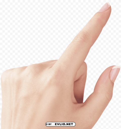 fingers Isolated Item on Transparent PNG Format