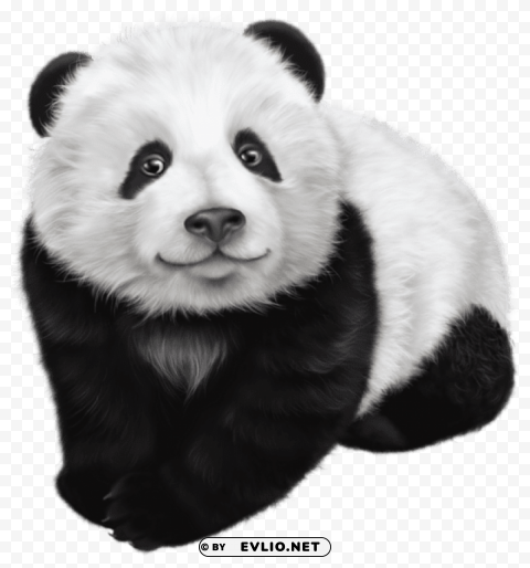 panda Isolated PNG Image with Transparent Background