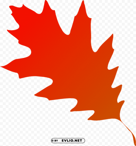 red fall leaf Transparent PNG illustrations