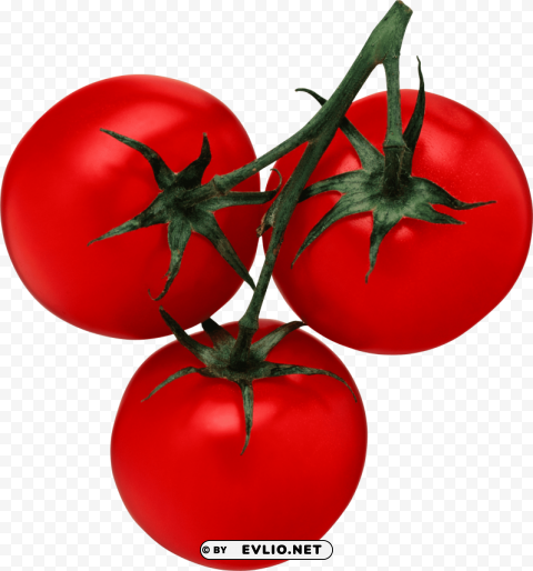 red tomatoes Isolated Graphic on Transparent PNG clipart png photo - 8067b6c6