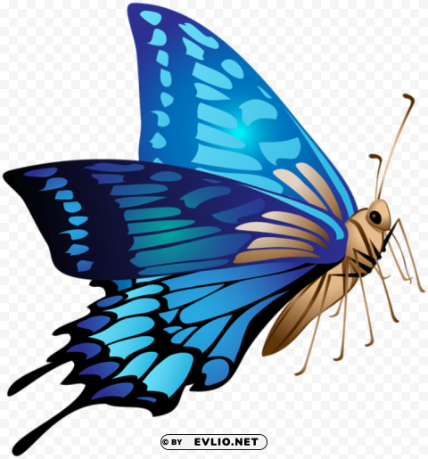 Blue Butterfly Isolated Element On Transparent PNG