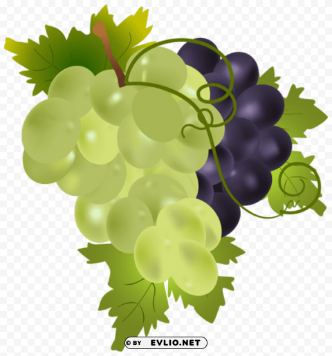grapes Isolated Subject on HighResolution Transparent PNG
