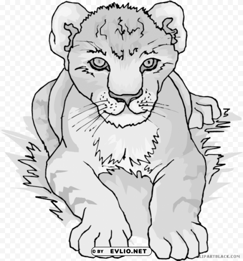 lion cub large wall clock HighResolution PNG Isolated on Transparent Background
