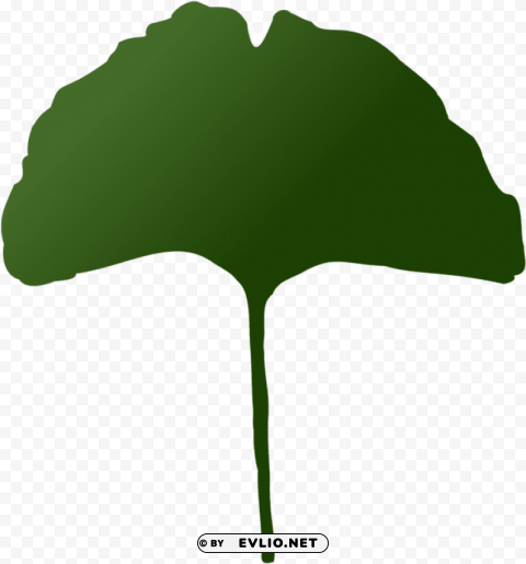 maidenhair tree PNG images with no attribution PNG transparent with Clear Background ID 2ff3125c