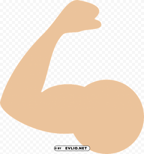 muscle PNG transparent photos for design