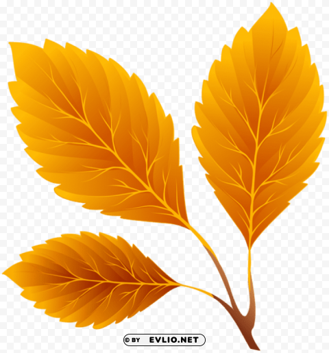 orange fall leaves Free PNG images with alpha transparency compilation