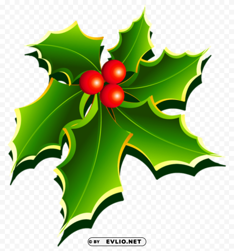 transparent mistletoe Free PNG images with alpha transparency comprehensive compilation