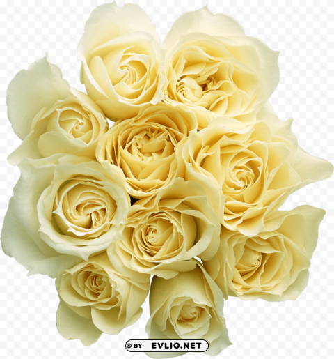 PNG image of white roses PNG design with a clear background - Image ID 4de17bfc